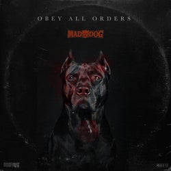 Obey All Orders