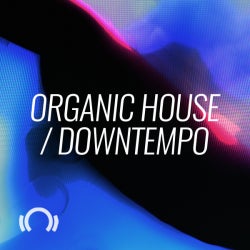Future Classics: Organic House / Downtempo