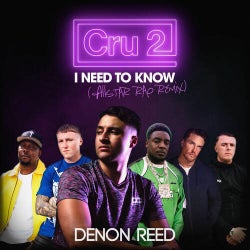 I need to know (feat. Tom Zanetti, Dizzee Rascal, Silky, KAV & MIST) (All Star Rap Remix)