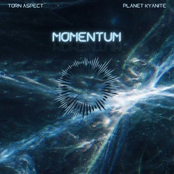 Momentum