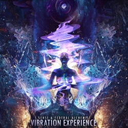 Vibration Experience
