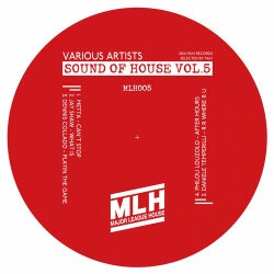 Sound of House, Vol. 5