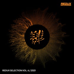 Redux Selection Vol. 6 / 2021