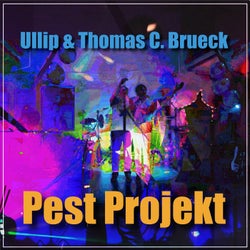 Pest Projekt