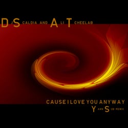Cause I Love You Anyway(Yann Sub Remix)