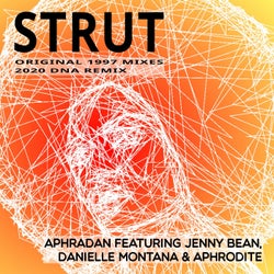 Strut (Original Mixes and DnA Studios Remix)