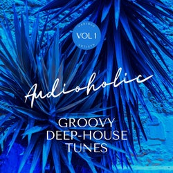 Audioholic (Groovy Deep-House Tunes), Vol. 1
