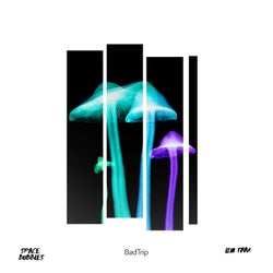 Bad Trip