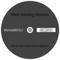 Electronic Deep House Spinner