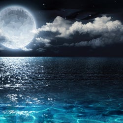 Raving Under The Moon