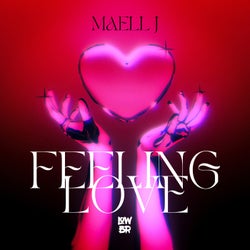 Feeling Love (Extended Mix)