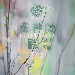 Spring Collection 2025