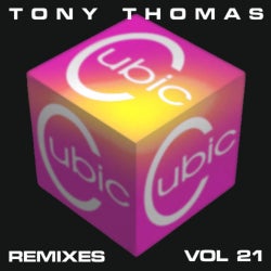 TT Remixes Vol. 21