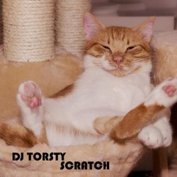 DJ Torsty