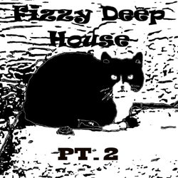 Fizzy Deep House Pt.2