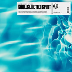 Smells Like Teen Spirit (Extended Mix)