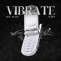 VIBRATE (Radio Edit)
