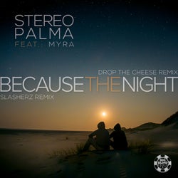 Because the Night (Remixes)