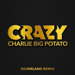 Crazy (Sliverland Remix)