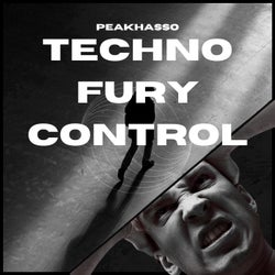 Techno Fury Control