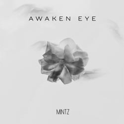Awaken Eye