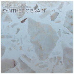 Synthetic Brain