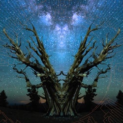 The Rings of Life