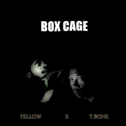 BoxCage