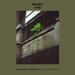 No Time To Waste (feat. Rromarin)