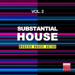 Substantial House, Vol. 2 (Modern House Guide)