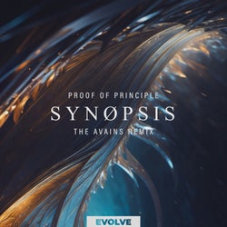 Synopsis (The Avains Remix)