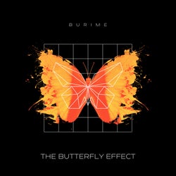 The Butterfly Effect