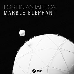 Lost In Antarctica