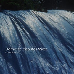 Domestic disputes Alternative Two