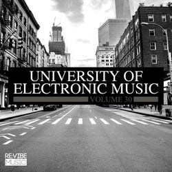 University of Electronic Music, Vol. 30