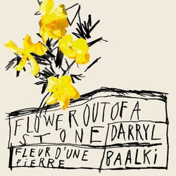 Flower Out Of A Stone EP