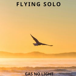 Flying Solo