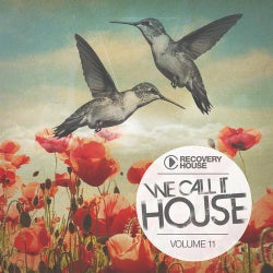 We Call It House Vol. 11