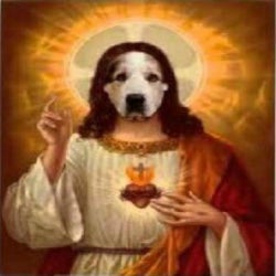 Jesus Dog 0033