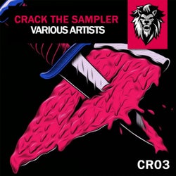 Crack The Sampler #01