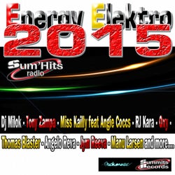 Energy Elektro 2015, Vol. 4 (EDM selection by Sum'Hits Radio)