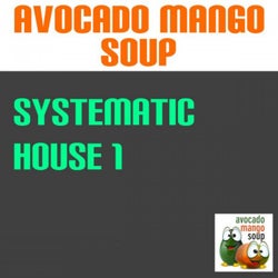 Systematic House, Vol. 1