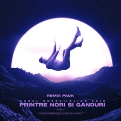 Printre nori si ganduri (Remix Pack)