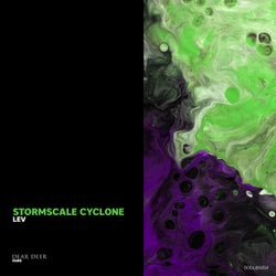 Stormscale Cyclone