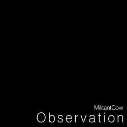 Observation - 2019 Mix