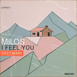 I Feel You (Citty Remix)