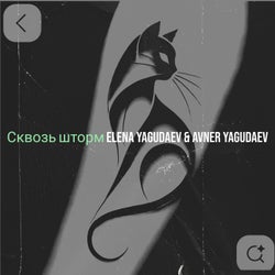Сквозь шторм