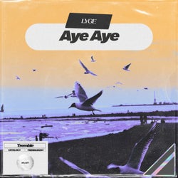 Aye Aye