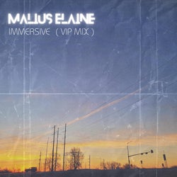 Immersive (VIP Mix)