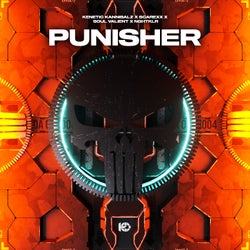 Punisher